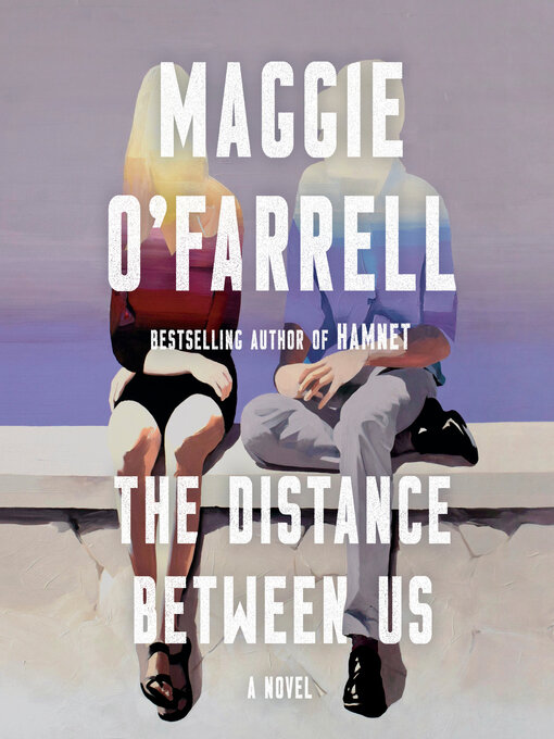 Title details for The Distance Between Us by Maggie O'Farrell - Wait list